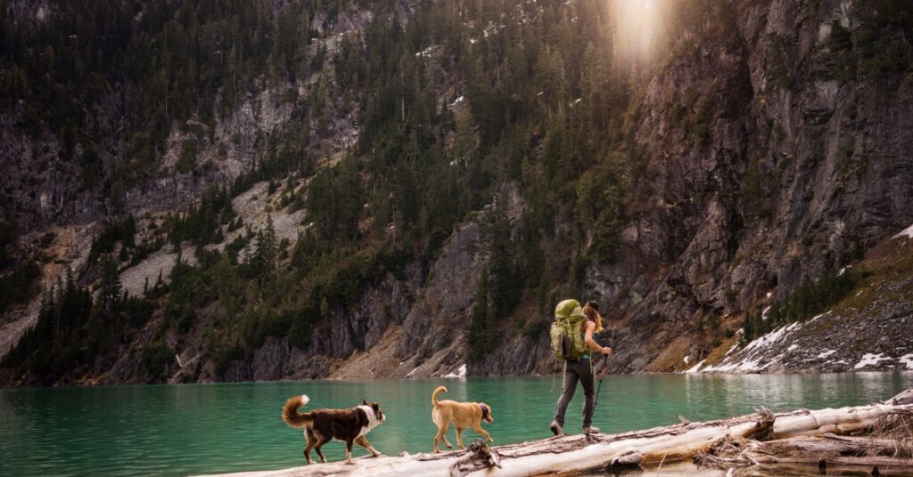 A woman hiker carrying a backpack crosses a fallen log with two dogs beside a mountain lake beneath forested cliffs.