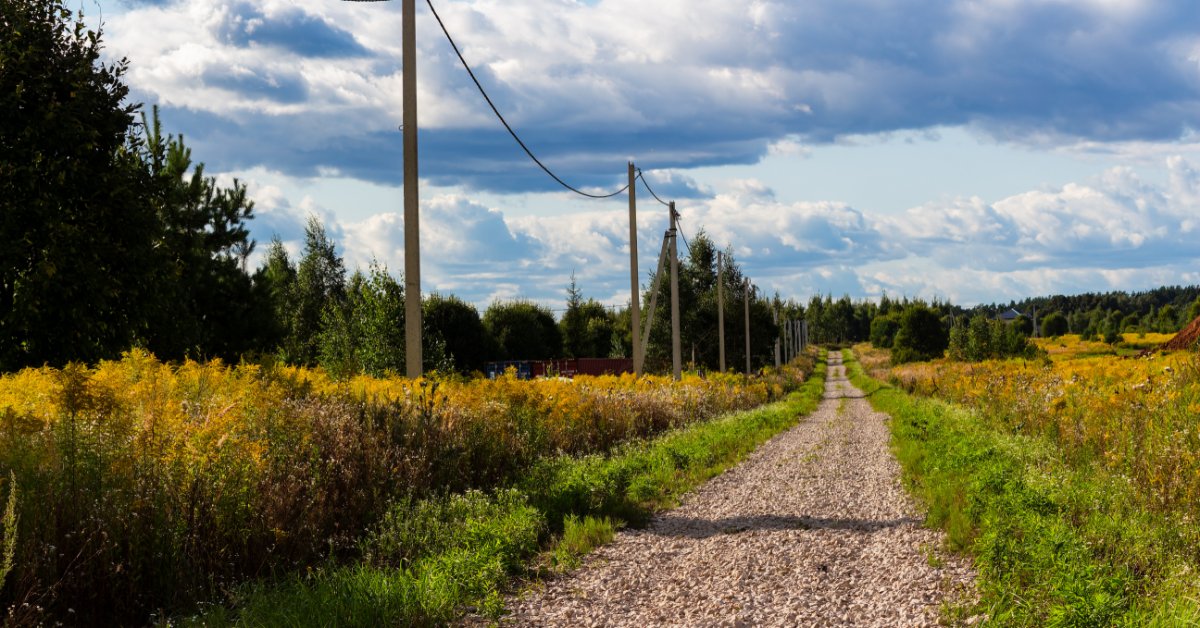An electrical line runs beside a gravel road through open rural land surrounded by trees and wild vegetation.